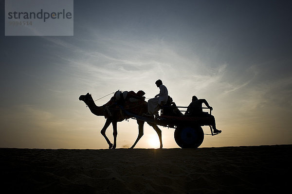 Sonnenuntergang Indien Jaisalmer Rajasthan Kamelritt Kamel