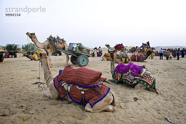 Indien Jaisalmer Rajasthan Kamelritt Kamel