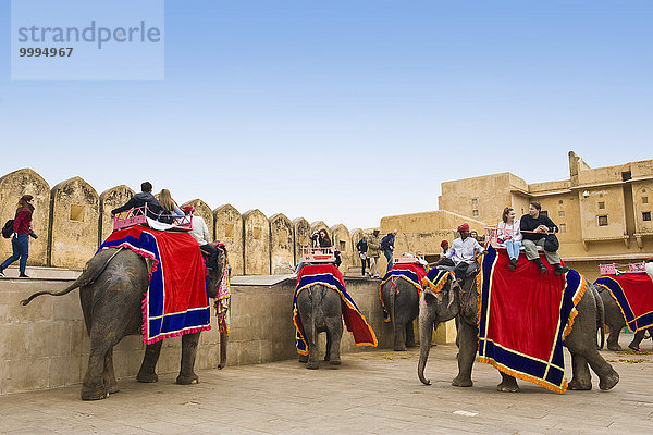 Elefant Festung Bernstein Indien Jaipur Platz Rajasthan