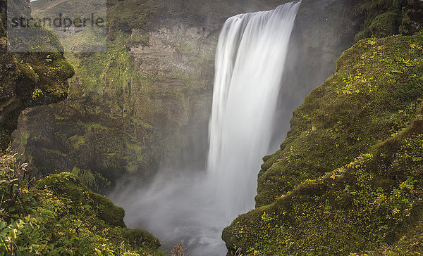 Wasserfall umgeben von moosigen Felsen  Trolls View  Skogarfoss  Island