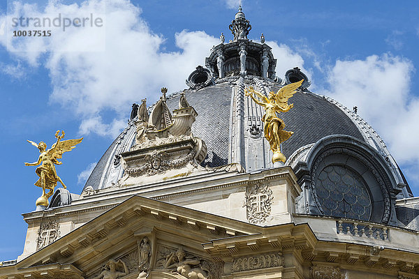Petit Palais  Kuppel  Paris  Frankreich  Europa