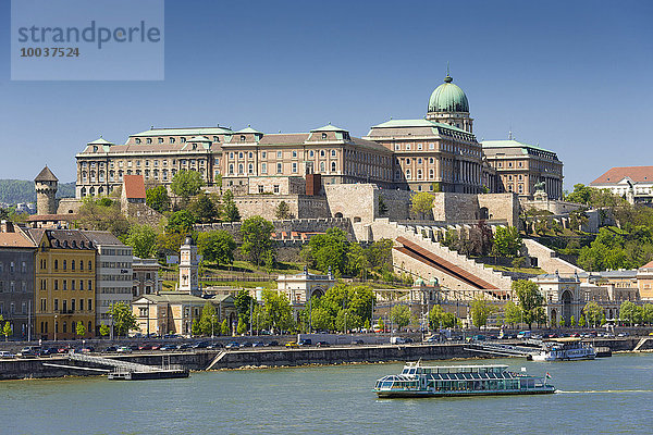 Burgberg mit Burgpalast  Schiff auf der Donau  Budapest  Ungarn  Europa