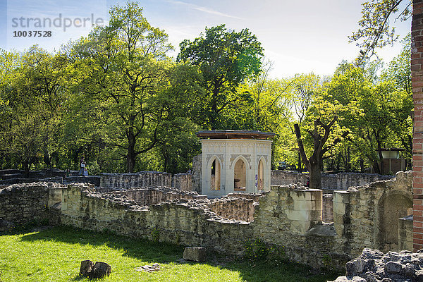 Ruine Dominikanerinnenkloster Domonkos kolostor  Margareteninsel  Budapest  Ungarn  Europa