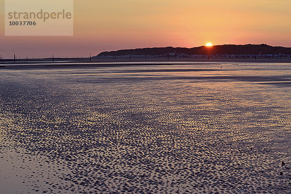 Wellenmuster im Sand  Ebbe bei Sonnenaufgang hinter Dünenkette  Norderney  Ostfriesland  Niedersachsen  Deutschland  Europa