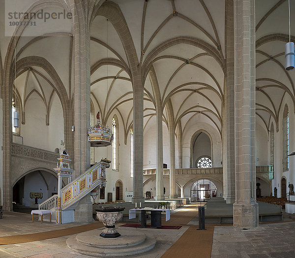 Evangelische Stadtkirche Sankt Marien  14.Jh.  Innenaufnahme  Torgau  Sachsen  Deutschland  Europa