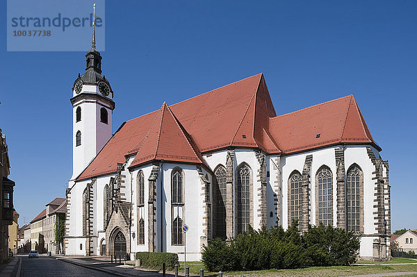 Evangelische Stadtkirche Sankt Marien  14.Jh.  Turm barock überformt  Torgau  Sachsen  Deutschland  Europa