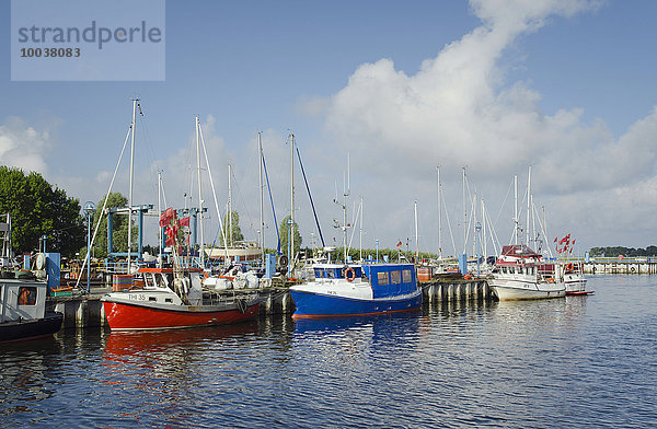 Fischerboote im Hafen  Thiessow  Insel Rügen  Ostsee  Mecklenburg-Vorpommern  Deutschland  Europa
