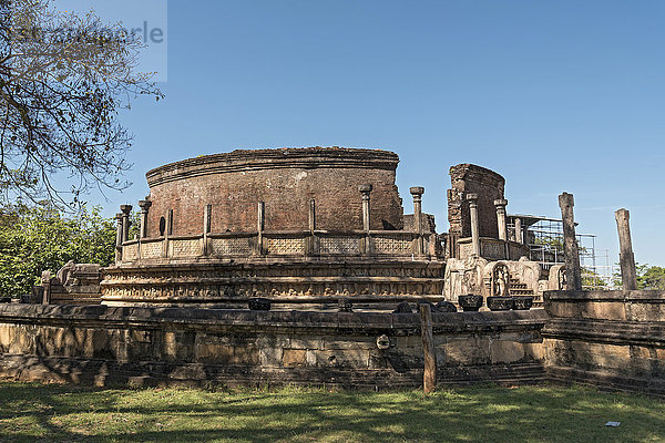 Vatadage  rundes Reliquiengebäude  Heiliges Viereck  Polonnaruwa  Sri Lanka  Asien
