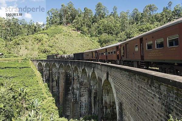 Zug auf der Nine Arches Bridge  bei Ella  Sri Lanka  Asien