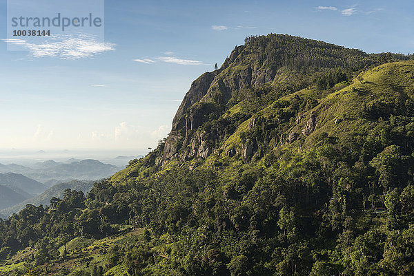 Der Fels Ella Rock  Sri Lanka  Asien