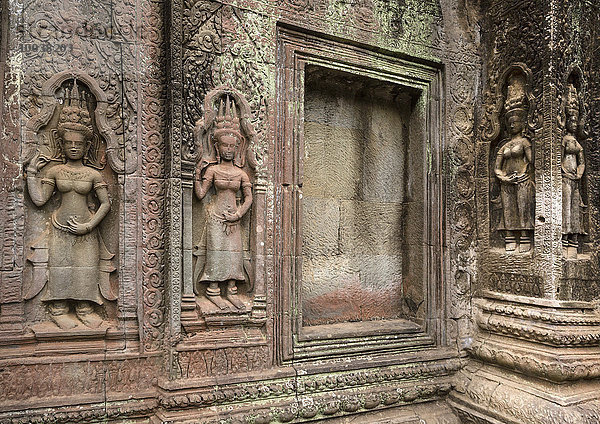 Apsara-Figuren  Ta Prohm Tempel  Angkor Thom  Provinz Siem Reap  Kambodscha  Asien