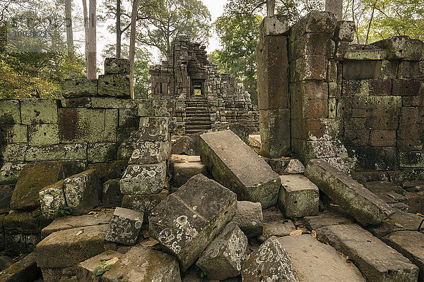 Preah Pithu  Prasat Tempel U.  Angkor Thom  Provinz Siem Reap  Kambodscha  Asien