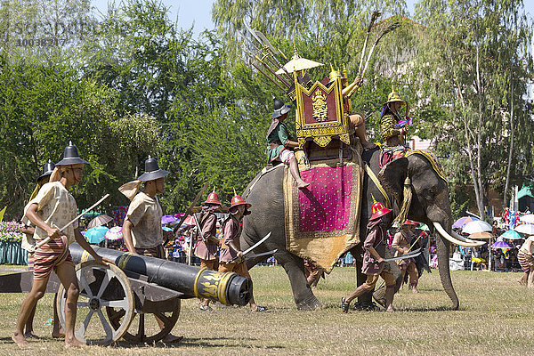 Kriegselefant und Kanone bei Elefantenfest  Surin Elephant Round-up  Provinz Surin  Isan  Isaan  Thailand  Asien