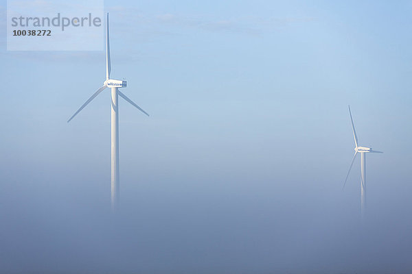 Windräder im Nebel  Hegau  Baden-Württemberg  Deutschland  Europa