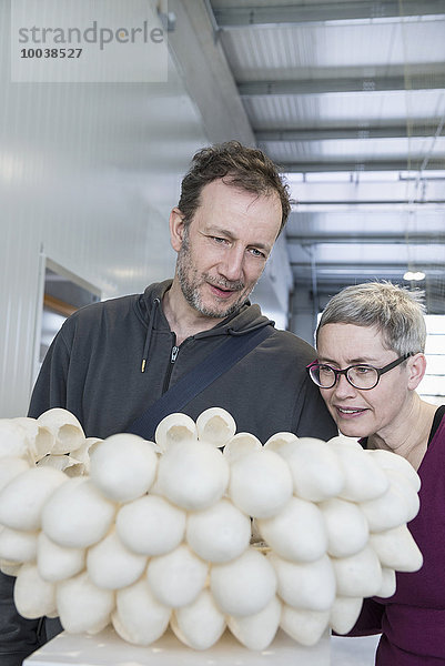 Couple looking at egg shell lampshade in an art museum  Bavaria  Germany