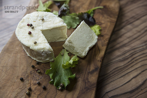 Close-up of cheese and lettuce leaf  Germany