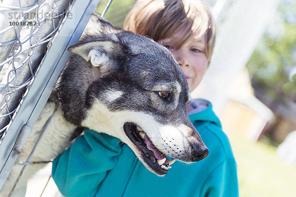 Junge - Person Hund