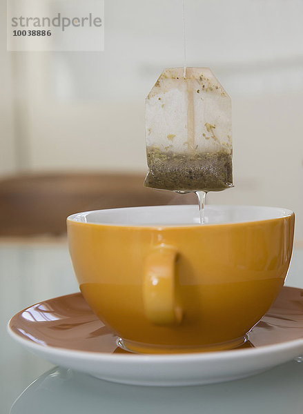 Tea bag suspended above mug  Munich  Bavaria  Germany