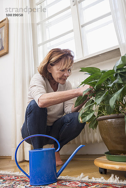 Senior woman looks at plant  watering can in the foreground  Munich  Bavaria  Germany