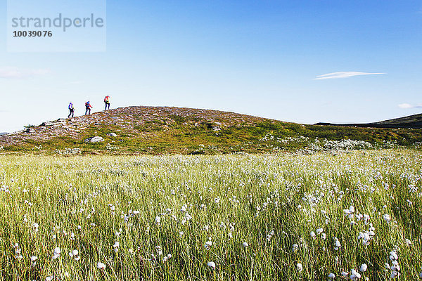 Berg Mensch Menschen wandern