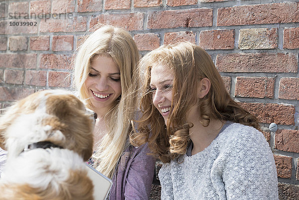 Two friends playing dog and smiling  Munich  Bavaria  Germany