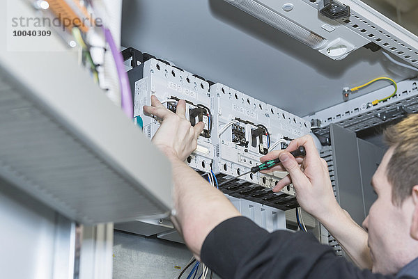 Electrician screwing cable in distribution fusebox  Munich  Bavaria  Germany