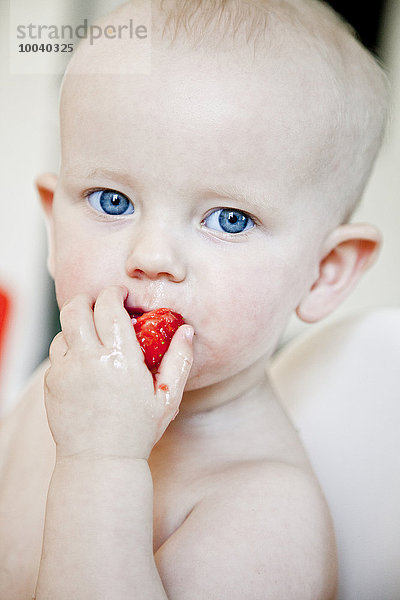 Portrait Junge - Person Erdbeere essen essend isst Baby