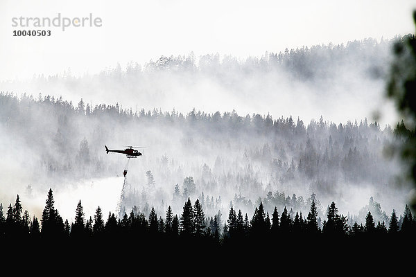 Wasser Wald Feuer Hubschrauber ausleeren