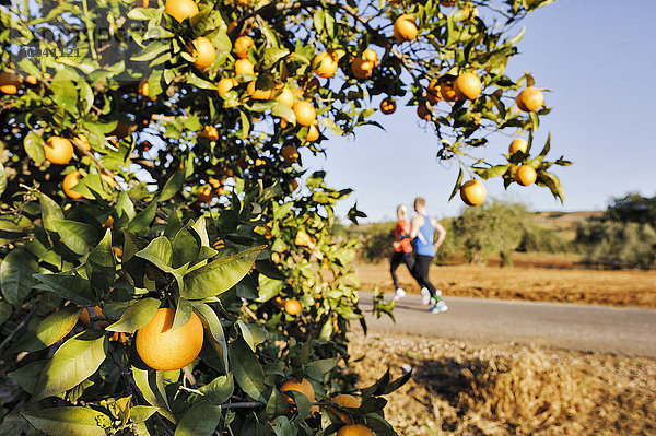 Orangenbaum Hintergrund joggen