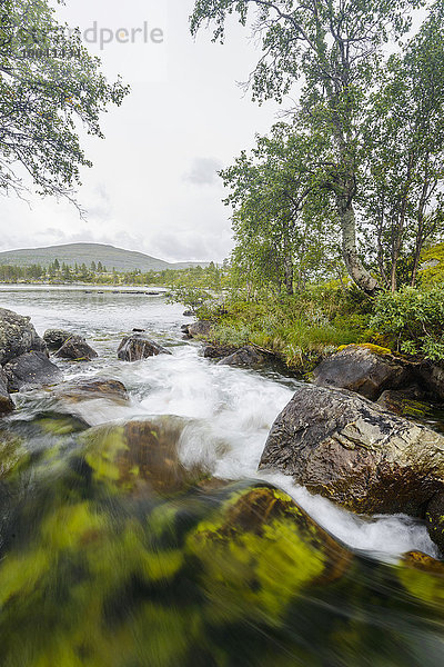 Flowing river