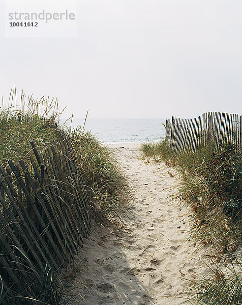 führen Strand Weg Sand