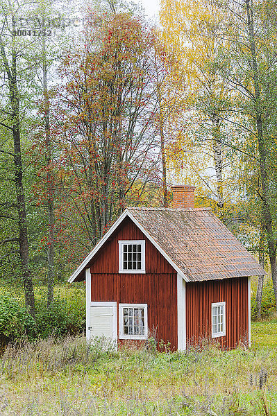 Blockhaus Holzhaus