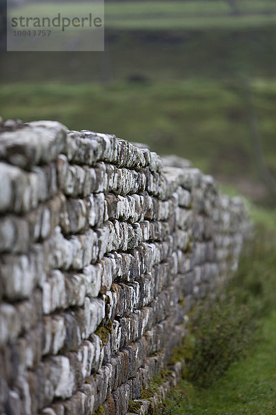 Steinmauer Tradition Landschaft Northumberland