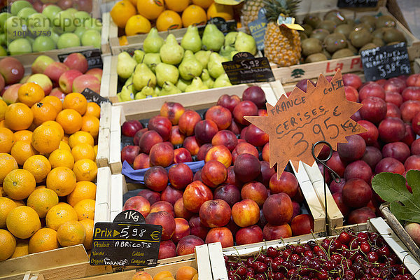 Blumenmarkt zeigen Frische Frucht verpacken Markt