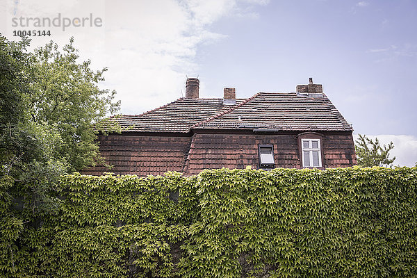 Deutschland  Dach eines alten Hauses hinter einer Mauer mit Kletterpflanze bedeckt