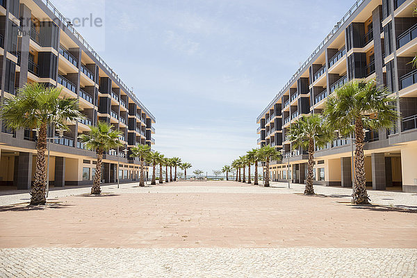 Portugal  Olhao  zwei Mehrfamilienhäuser mit Palmen davor