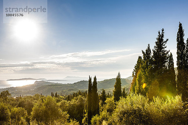 Griechenland  Korfu  Zypressen an der Küste im Sonnenlicht