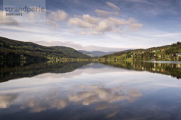 Deutschland  Breisgau-Hochschwarzwald  Wasserspiegelungen am Titisee im Schwarzwald