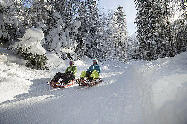 Deutschland  Bayern  Inzell  Paar beim Schlittenfahren in verschneiter Landschaft