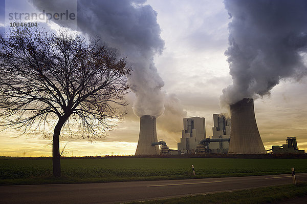 Deutschland  Grevenbroich  Blick zum Braunkohlekraftwerk bei Morgendämmerung