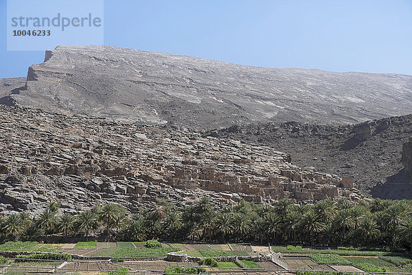 Oman  Oase im Wadi Ghul im Al Hajar Gebirge