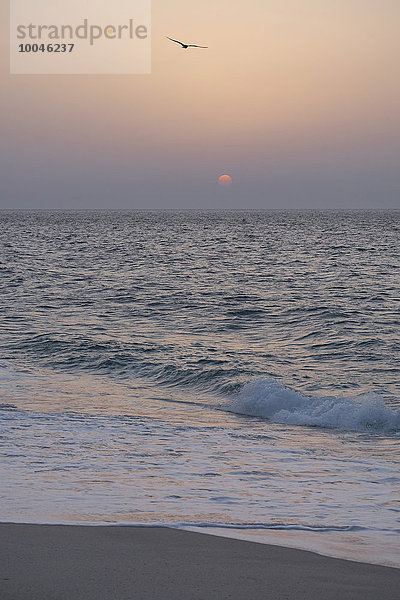 Oman  Ras al-Jinz  Sonnenaufgang an der Küste