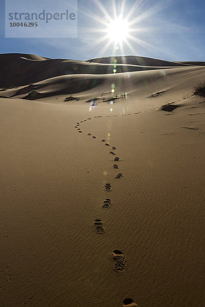 Marokko  Sahara  Erg Chebbi  Fußspuren auf der Wüstendüne