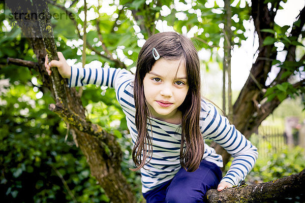 Porträt eines Mädchens beim Klettern im Baum