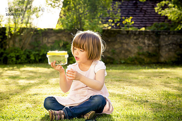 Kleines Mädchen mit Insektendose auf einer Wiese sitzend