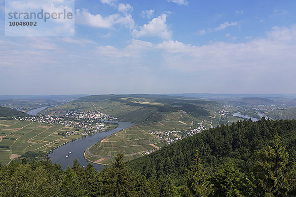 Deutschland  Rheinland-Pfalz  Mehring  Fünf-Seen-Ansicht
