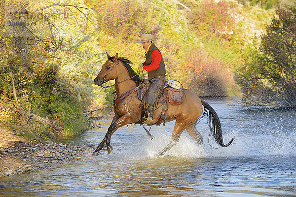 USA  Wyoming  Cowboy reitet auf seinem Pferd über den Fluss