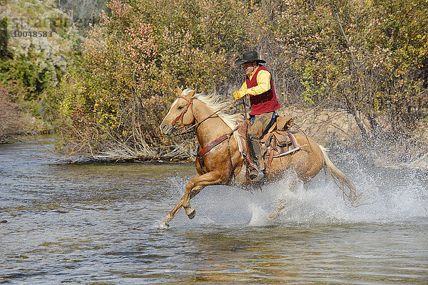 USA  Wyoming  Cowboy reitet sein Pferd über den Fluss