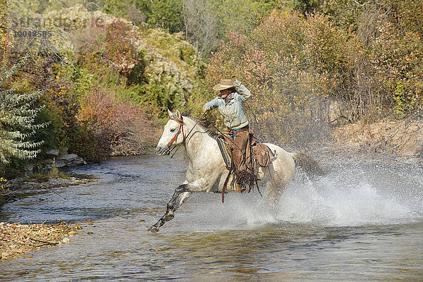 USA  Wyoming  Cowgirl reitet mit ihrem Pferd über den Fluss