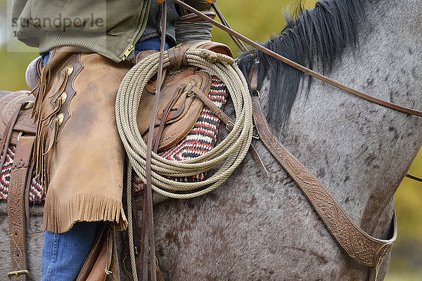 USA  Wyoming  Cowboy  Nahaufnahme von Lasso und Schutzkleidung